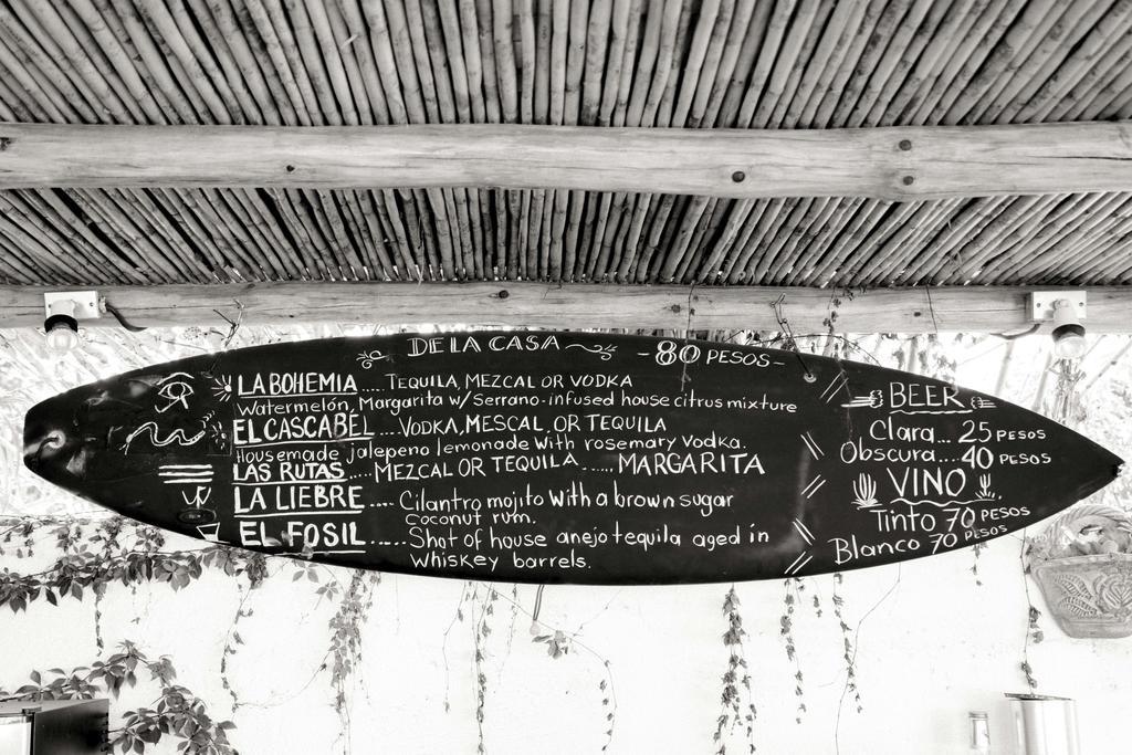Hotel La Bohemia Todos Santos Exteriér fotografie
