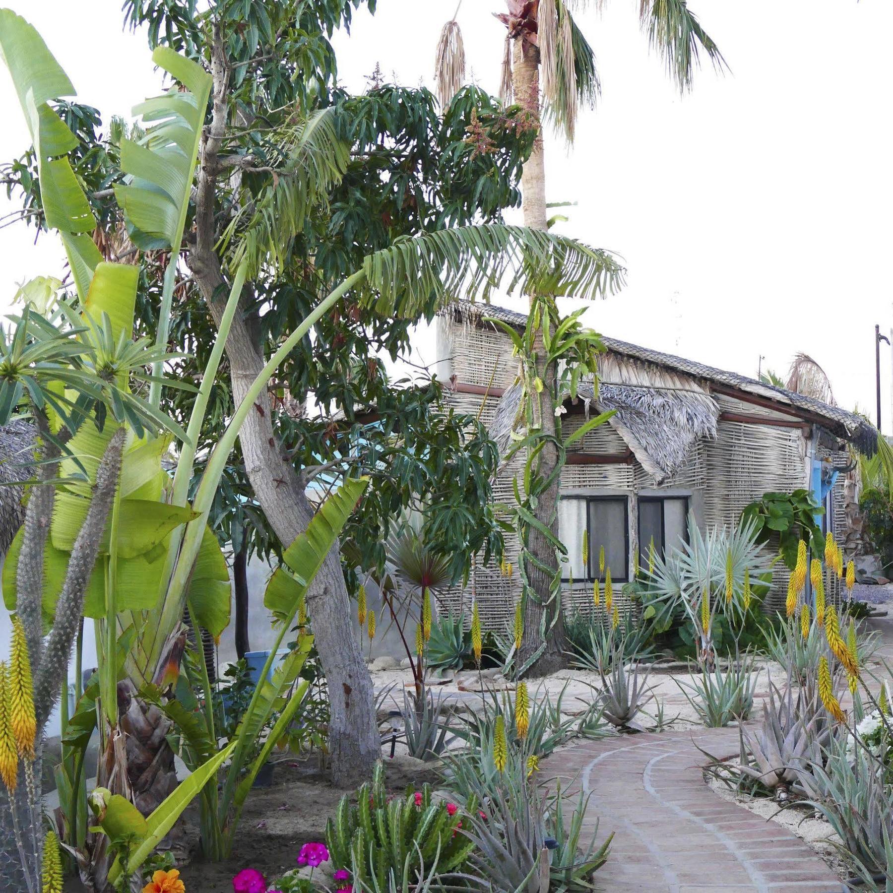 Hotel La Bohemia Todos Santos Exteriér fotografie
