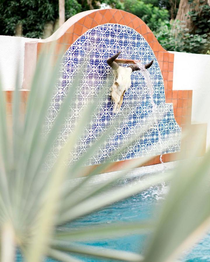 Hotel La Bohemia Todos Santos Exteriér fotografie